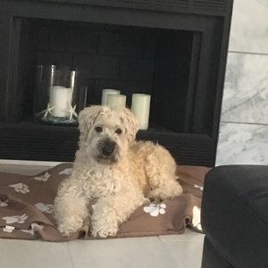 Meet your Posher, Rich